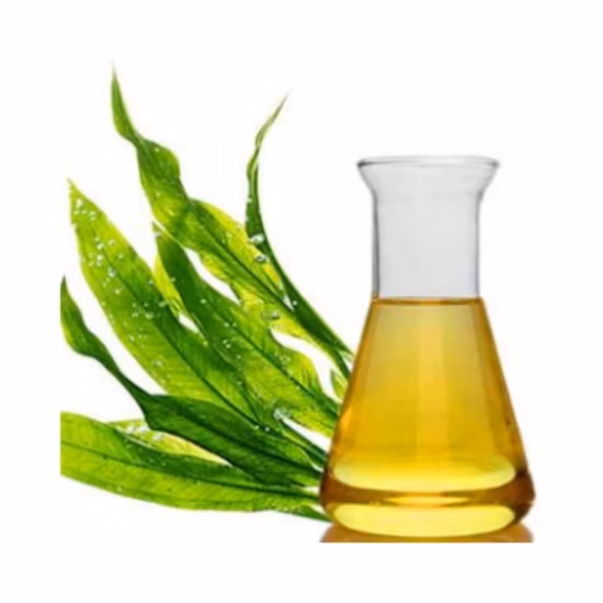 Factory Supplies High Quality Docosahexaenoic Acid CAS 6217-54-5 DHA Fish Oil/Algal Oil