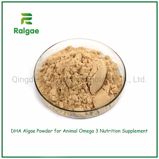 Poudre d'algues Schizochytrium DHA de microalgues naturelles pour additif de repas pour animaux de compagnie CAS6217