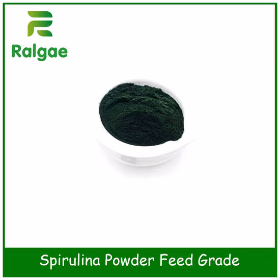 Qualité alimentaire naturelle de spiruline d'algues pour Livstock CAS 724424