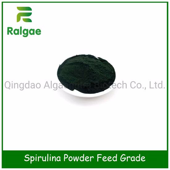Spiruline naturelle CAS 724424 d'additif d'alimentation de nutrition de croissance de volaille de couches d'oeufs