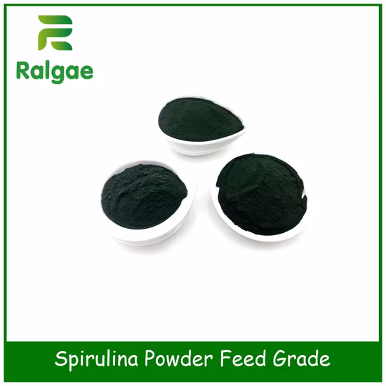 Spiruline CAS 724424 de microalgues de catégorie d'alimentation de supplément de nutrition animale