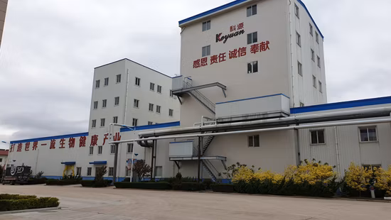 Complément Alimentaire Oméga 3 Microalgues Marines DHA Huile d'Algue pour Enfant