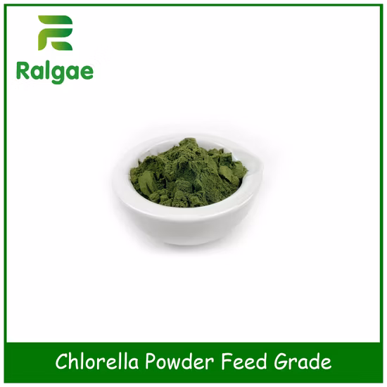 Additif de nutrition animale de microalgues de poudre de chlorelle de catégorie d'alimentation