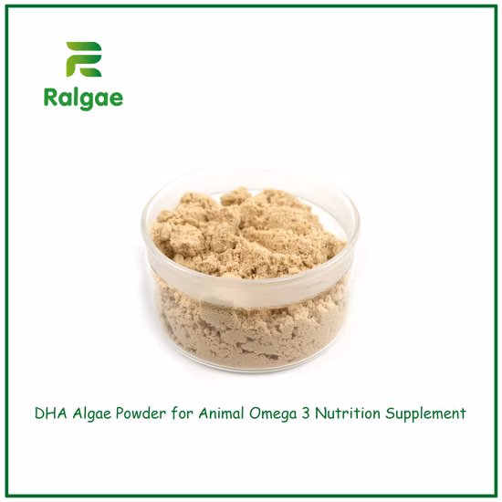 Poudre naturelle d'algues Schizochytrium DHA, DHA élevé 18% pour additif alimentaire pour animaux de compagnie