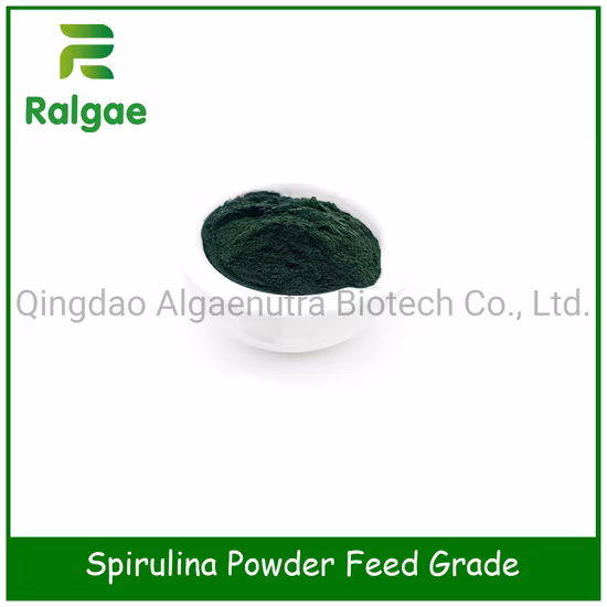 Poudre naturelle CAS 724424 de spiruline d'additif animal de catégorie d'alimentation