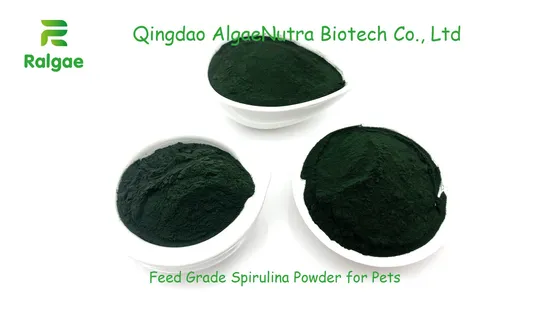 Qualité alimentaire naturelle de poudre de spiruline verte de microalgues pour des suppléments de protéine de cheval